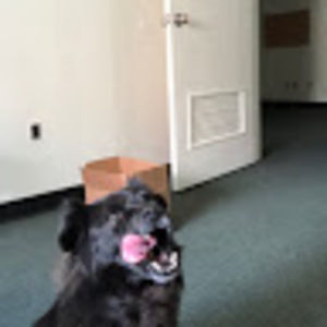 Meet your Posher, Fred